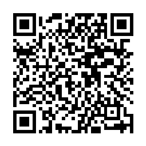 您也不可能这么快就知道进入金狼猎兽大罗金仙的办法二维码生成