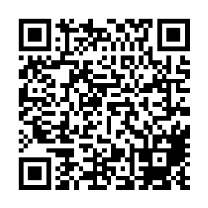 您书房外头守了八个人那……小的也不知道算不算得要紧事二维码生成