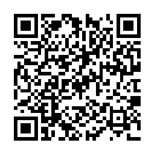 您就是那位打算在我的这店边上也开当铺的老板吧二维码生成