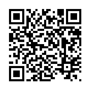 您应该不会忘记这些年夫人所受的苦二维码生成