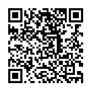 您能告诉我您是怎么用手从孕妇的肚子里取出肉球的二维码生成