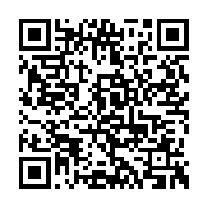 您觉得有没有可能这个巫运之果内育有两个生命二维码生成