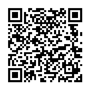 您认为我们就能够将华夏革命军的兵力完全吸引住二维码生成