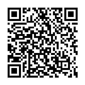 您说我要是一会斗医直接把他们俩都给斗下去了二维码生成