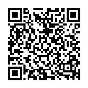 惊华咽下自己嘴里的点心喝了一口茶慢条斯理的看了大家一圈二维码生成