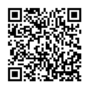 惊得正在远处战斗的两大神皇中期大能都回过头来的凝望二维码生成