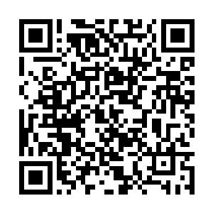 惊虹很快降临到韩风龙皇大长老元罡神皇的不远处二维码生成