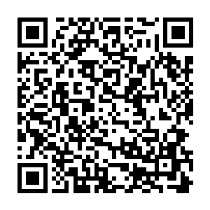 惊讶的是林铭竟然以三品天赋和并不出众的家世在十五岁突破了练体二重二维码生成