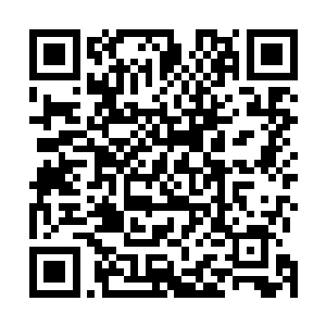 惊雷舰队则极有可能拉拢到仍旧维持中立的远征军的支持二维码生成