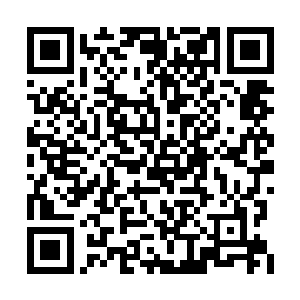 惟独东安郡天元家族的家主由于时间太过于短暂二维码生成