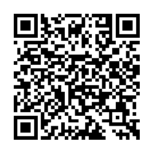 惨叫声……一切就像是上半夜遭遇过悲剧的重现二维码生成