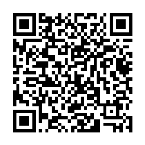 惨叫声从那个拉车帮十二大管理之一的侯向仁口中喊出二维码生成