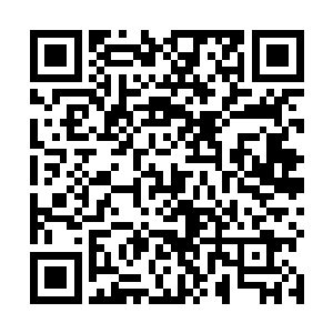 惨叫声和怒吼声是从自己队伍后的几名族人口中发出的二维码生成