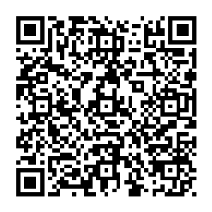 惨叫声就接连不断的传来了……这是水系至尊被变异生物咬伤或是重击发出来的声音二维码生成