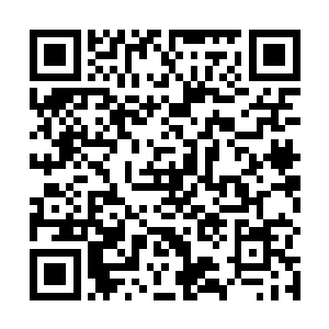 惯常分开去伏击猎物~~其余九团不管是联手还是分开二维码生成