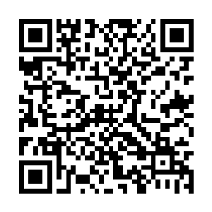 想不到你也是这样的人家里面娇妻一个赛一个美丽二维码生成