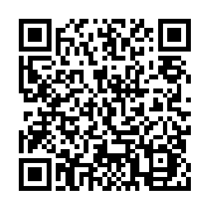 想不到刚刚来到黑暗之海就见到了黑暗龙宫之人二维码生成