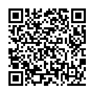 想不到刚才还对自己横眉立目的两个妹妹怎地愈发的激动了二维码生成