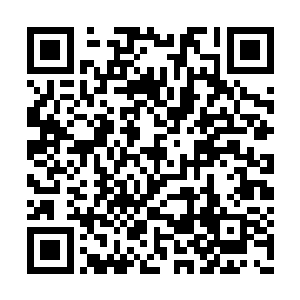 想不到在这荒郊野岭也能吃到正宗的培根蘑菇卷二维码生成