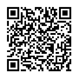 想不到居然被三个九重仙跟了大半天而没有发现二维码生成