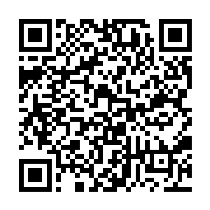 想不到帝国连这些压箱底的力量都派到了里世界来了二维码生成