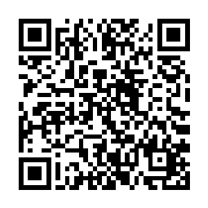 想不到这玄虚境的灵兽竟然还能将她的攻击硬抗下来二维码生成