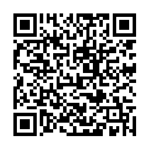 想不到那个周城昆真的跟疯了一样派人杀人灭口了二维码生成