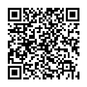想不明白为何白白浪费了全身上下里外都是宝贝的母夔尸体二维码生成