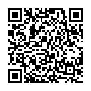 想了想好像除了几次意外的亲密接触之外就没别的了二维码生成