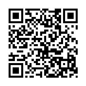 想刚才听到的小猫调皮和小鸟儿飞翔的声音二维码生成