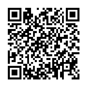 想到一个大活人化作肉泥从盔甲里挤射出的情形二维码生成