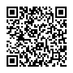 想到了五年前那场震惊联邦地下世界的暗杀事件二维码生成