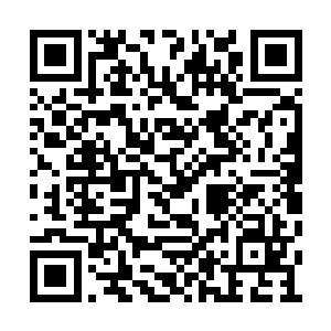 想到了疑似青帝的年轻道人便是消失在东海海眼二维码生成