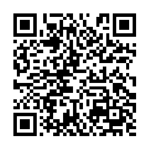 想到自己亲眼所见的那个臧霸却也与张颌所说那样二维码生成