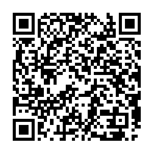 想到自己居然被一个在自己眼中好似蝼蚁一般的东西逼的差点丧命二维码生成
