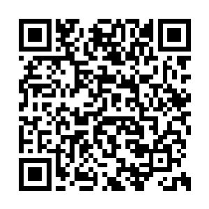 想到自己败在这个曾经要尊称自己为冥皇的龙王二维码生成