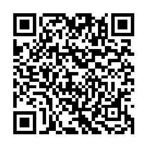 想到苍茫大陆一脉如果想要按照自己的理念走下去二维码生成