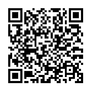 想到赵文鼎这个阿激活一面对他友好一面套取他的信息二维码生成