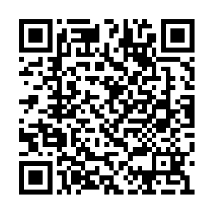 想到重锋会败在两个自己一手培养出来的人手上二维码生成