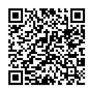 想到闻人家族那恐怖的资金筹备以及可以调动的力量二维码生成