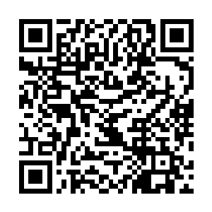 想当日这个沈凡在风落扬手中挺不住一招黑风大吞噬神通二维码生成