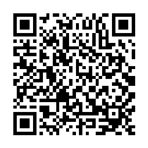 想必不仅仅是为了炫耀你的宝贝女儿如今如何如何的了得了吧二维码生成