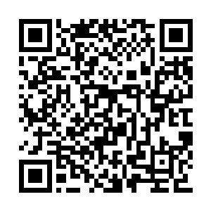 想必也是知道了巨象仙宗内的那三座聚灵神山吧二维码生成