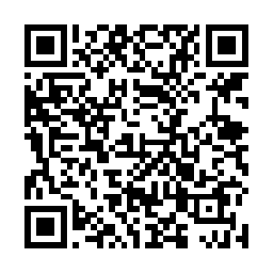 想必大家等到这么大半夜都是为了一睹这个宝物的真容二维码生成