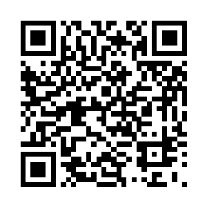 想必您也需要寻找一个人类做主人吧二维码生成