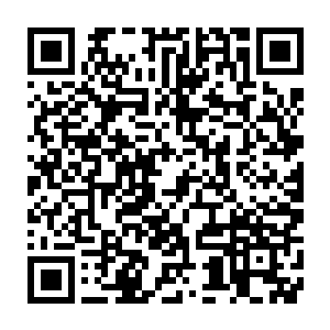 想必星月公主来我纳兰皇朝的目的定然不只是表面上的那么简单吧二维码生成