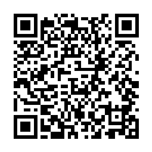 想想当初乔兰那么高调的说宝莱的代言肯定是她的二维码生成