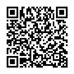 想想自己不知道哪辈子修的福气能给这种队伍当教练二维码生成