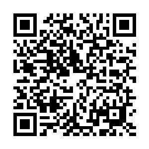 想想自己以后要带一段时间的保镖贝海这心里那个恨啊二维码生成