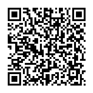 想想自己这个师傅霸占着太夏廷尉府通缉榜上第一名的位子这么多年二维码生成